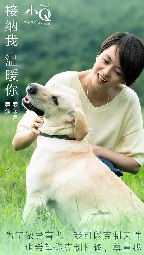 一比一仿弗雷斯特职业心理学院文凭毕业证